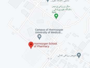 google map image